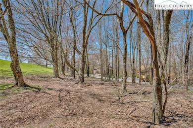 201 Grassy Gap Loop Rd, Beech Mountain, NC 28604 - photo 3