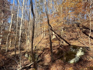 680 Nibert Rd unit (Ponds Poplar Ridge, Gallipolis, OH 45631 - photo 6