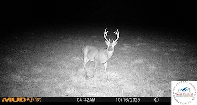 451 Tavern Creek Rd, Iberia, MO 65486 - photo 6