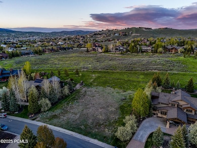 5795 Mountain Ranch Drive-04