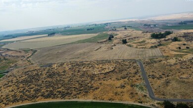 1008 Eltopia Rd, Eltopia, WA 99330 - photo 6