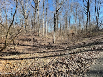 2311 Pocahontas Cove, Hernando, MS 38632 - photo 6