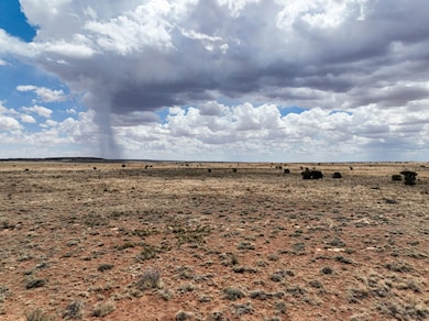 0 Well Field Rd unit 24407445, Winslow, AZ 86047 - photo 6