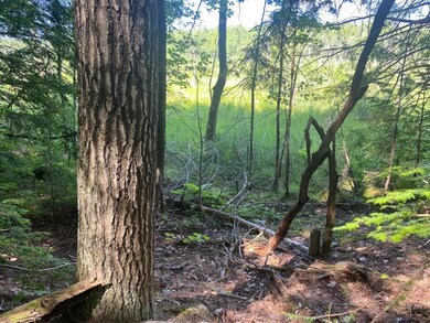 0 Old Rindge Rd unit 16-029-000 4916615, Fitzwilliam, NH 03447 - photo 6