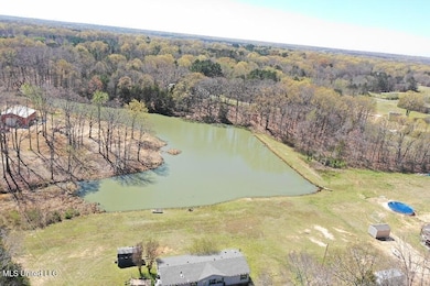 14491 Valley View, Byhalia, MS 38611 - photo 6