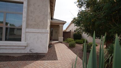 Front Views