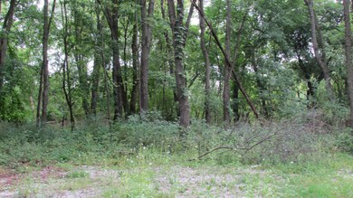 IMG_0584