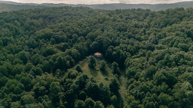 8780 Sugar Run Rd NE, Copper Hill, VA 24079 - photo 4