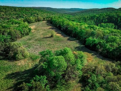 676 N Devils Den Rd, Winslow, AR 72959 - photo 6