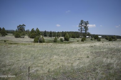 0 Cr 2275 1 22 Acre unit 248078, Nutrioso, AZ 85932 - photo 3