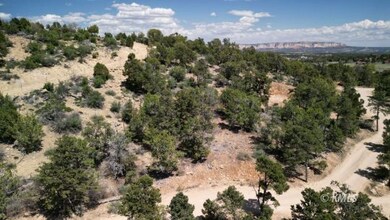 4 Peaches Ln, Mt. Carmel, UT 84755 - photo 7