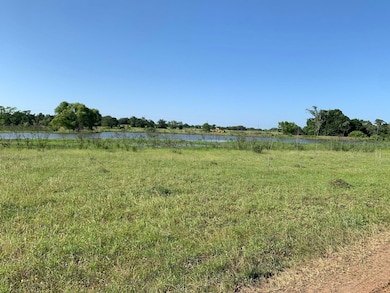 1119 Old Adams Ln, Pleasanton, TX 78064 - photo 4