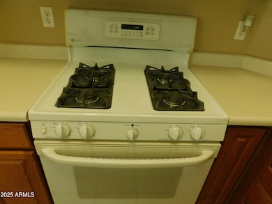 Gas Stove