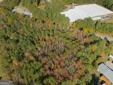 100 Tallapoosa Rd, Tallapoosa, GA 30176 - photo 4