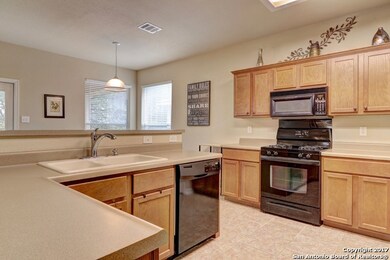 24310 Woodrose Park, San Antonio, TX 78255 - photo 6