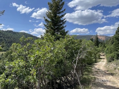 View at the road