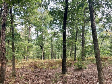 00 Cardinal Rd, Bella Vista, AR 72715 - photo 4