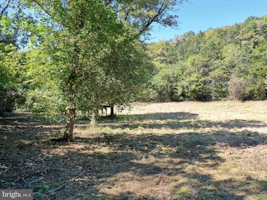 TBD Funk Rd, Strasburg, VA 22657 - photo 4