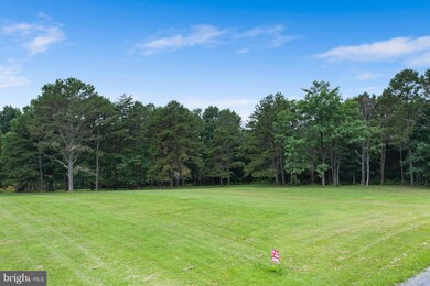 0 Polk Rd unit VASH2003832, Edinburg, VA 22824 - photo 4