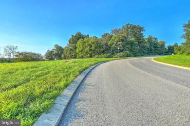 558 Monocacy Trail unit 146, Spring Grove, PA 17362 - photo 7