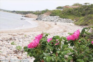 169 Cuttyhunk Ave, Vineyard Haven, MA 02568 - photo 4