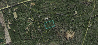 75 Simmie Dr, Crawfordville, FL 32327 - photo 5