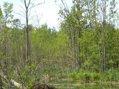 Pond on Left