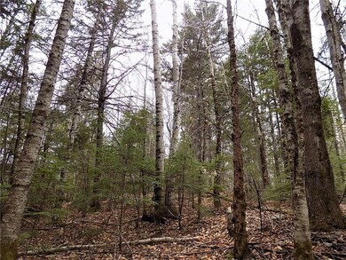 Lot has a nice mix of trees