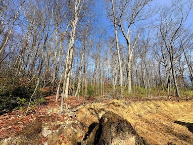 83 Farris Ln, Fayetteville, WV 25840 - photo 7