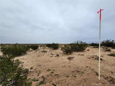 3 AC Fairview Rd, Newberry Springs, CA 92365 - photo 2