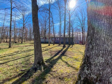 204 County Road 452, Poplar Bluff, MO 63901 - photo 3