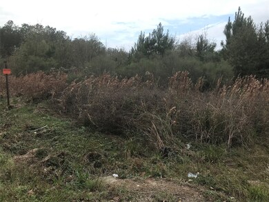 28410 Champion Oaks Dr, Magnolia, TX 77354 - photo 3