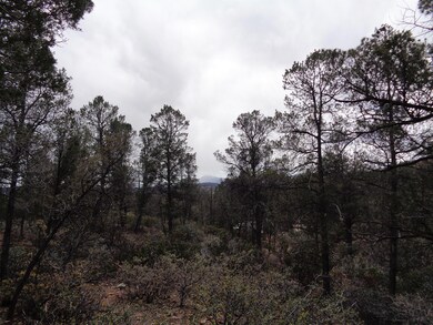 1400 Tranquility Point Pic 3