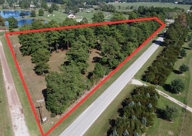 00000 Macedonia, Waller, TX 77484 - photo 2