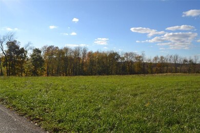 0 Apollo Rd NE, Salineville, OH 43945 - photo 4