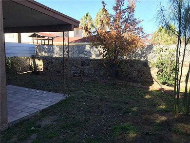 Backyard has fruit trees and a saltillo
