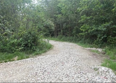 4853 Rockwell Rd, Ashtabula, OH 44004 - photo 3