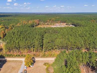 336 Grant County 676, Grapevine, AR 72057 - photo 6