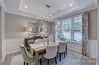 REPRESENTATIVE PHOTO