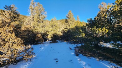 4480 Laidlaw Rd, Fort Garland, CO 81133 - photo 2