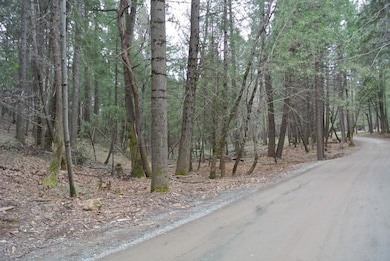 view of dirt / gravel road featuring a forest view