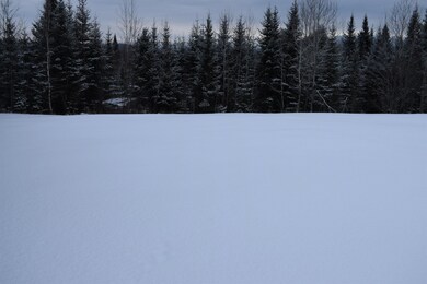 300 Colby Rd, Whitefield, NH 03598 - photo 5