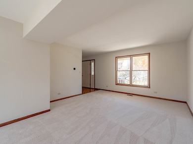 1104 Thatcher Trail, West Dundee, IL 60118 - photo 3