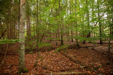 _DSC2268-Edit