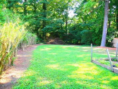Large private backyard