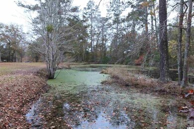 6801 Pinehaven Ln, Conway, SC 29526 - photo 4