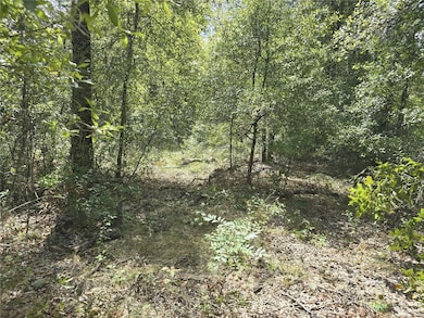 00 NE 150th Ct, Williston, FL 32696 - photo 5