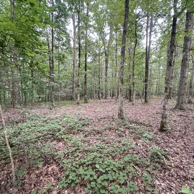 5 Tummins Rd, McEwen, TN 37101 - photo 6