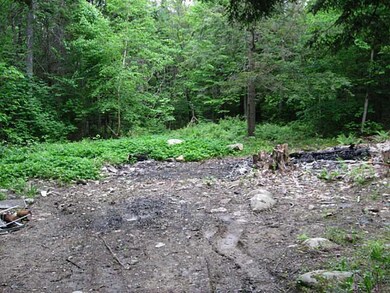 clearing for a house lot