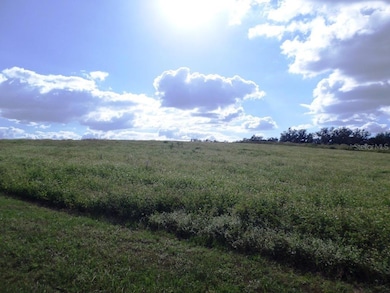 Lot 6 SW 199th Ct, Dunnellon, FL 34431 - photo 3